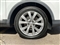 Mg ZS Image 6