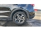 Mg ZS Image 7