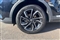 Mg ZS Image 9