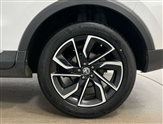 Mg ZS Image 5