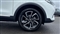 Mg ZS Image 5