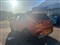 Mg ZS Image 1