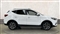 Mg ZS Image 4