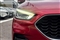 Mg ZS Image 6