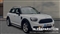 Mini Countryman Image 1