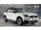 Mini Countryman Image 1