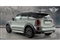 Mini Countryman Image 2