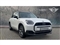 Mini Countryman Image 1