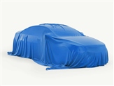 Mini Hatch Image 1
