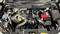 Nissan Juke Image 10