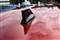 Nissan Juke Image 10