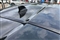 Nissan Juke Image 10