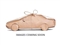 Nissan X-Trail Image 1