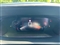 Peugeot 2008 Image 9