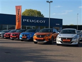 Peugeot 2008 Image 3