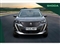 Peugeot 2008 Image 9