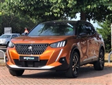 Peugeot 2008 Image 3