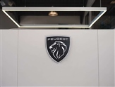 Peugeot 2008 Image 6