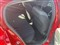 Peugeot 208 Image 9