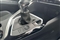 Peugeot 3008 Image 6