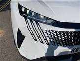 Peugeot 3008 Image 4