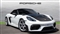 Porsche 718 Image 1