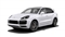 Porsche Cayenne Image 1