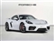 Porsche Cayman Image 1