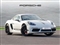 Porsche Cayman Image 1