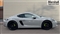 Porsche Cayman Image 2