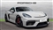 Porsche Cayman Image 1