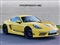 Porsche Cayman Image 1