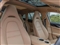 Porsche Panamera Image 10