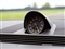 Porsche Panamera Image 8