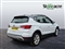 Seat Arona Image 3