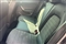 Seat Arona Image 5