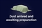 Seat Ibiza Image 1