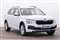 Skoda Kamiq Image 1