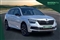Skoda Kamiq Image 1