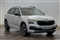 Skoda Kamiq Image 1