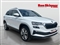 Skoda Karoq Image 1