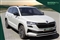 Skoda Karoq Image 1
