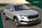 Skoda Karoq Image 1