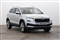 Skoda Karoq Image 1