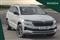 Skoda Karoq Image 1