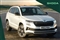 Skoda Karoq Image 1