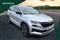 Skoda Karoq Image 1