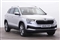 Skoda Karoq Image 1