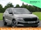 Skoda Karoq Image 1
