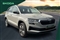 Skoda Karoq Image 1